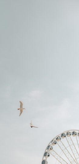 [2436x1125]天空 摩天轮 飞鸟 灰蒙蒙 苹果手机壁纸图片