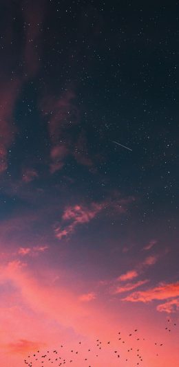 [2436x1125]天空 渐变 唯美 鸟群星空 苹果手机壁纸图片