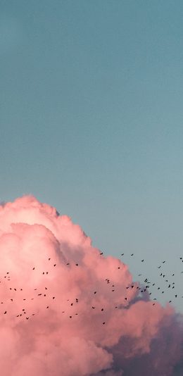 [2436x1125]天空 红云 飞鸟 成群 苹果手机壁纸图片