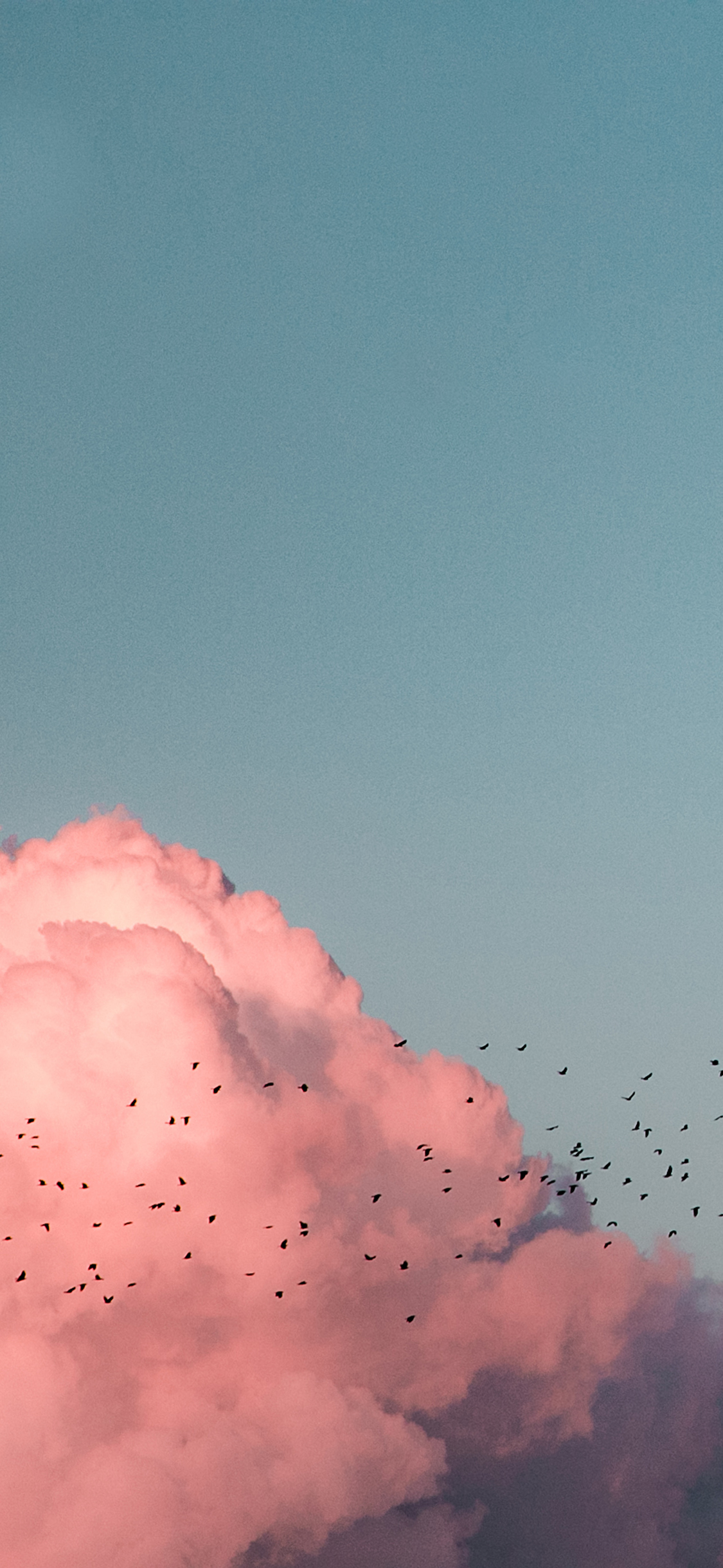 [2436×1125]天空 红云 飞鸟 成群 苹果手机壁纸图片