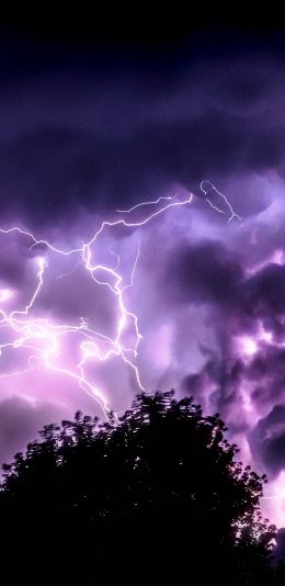 [2436x1125]天空 自然 树木 闪电 紫色 苹果手机壁纸图片
