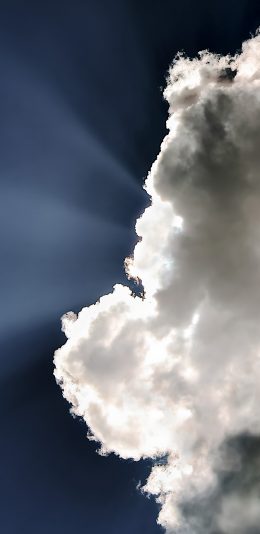 [2436x1125]天空 蓝天白云 透光 苹果手机壁纸图片