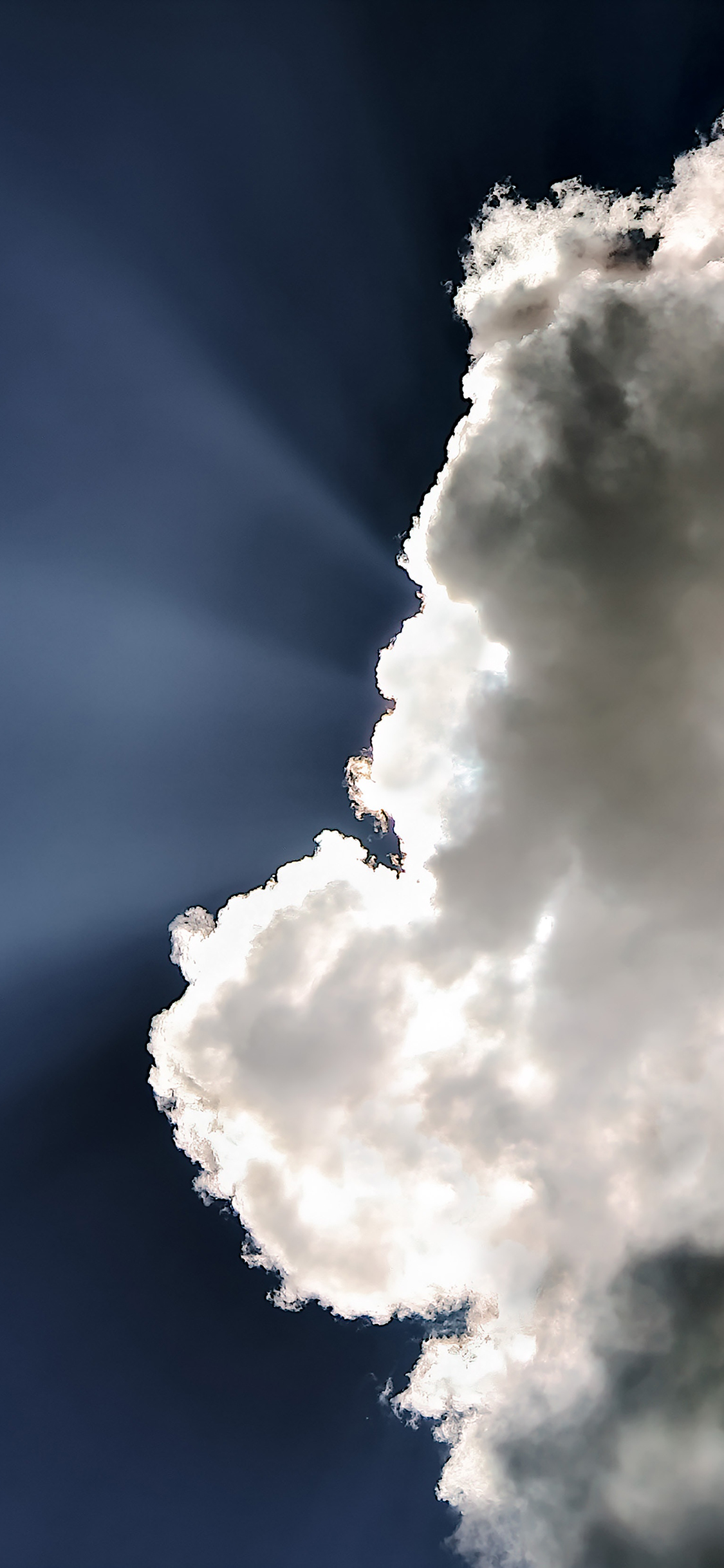 [2436×1125]天空 蓝天白云 透光 苹果手机壁纸图片