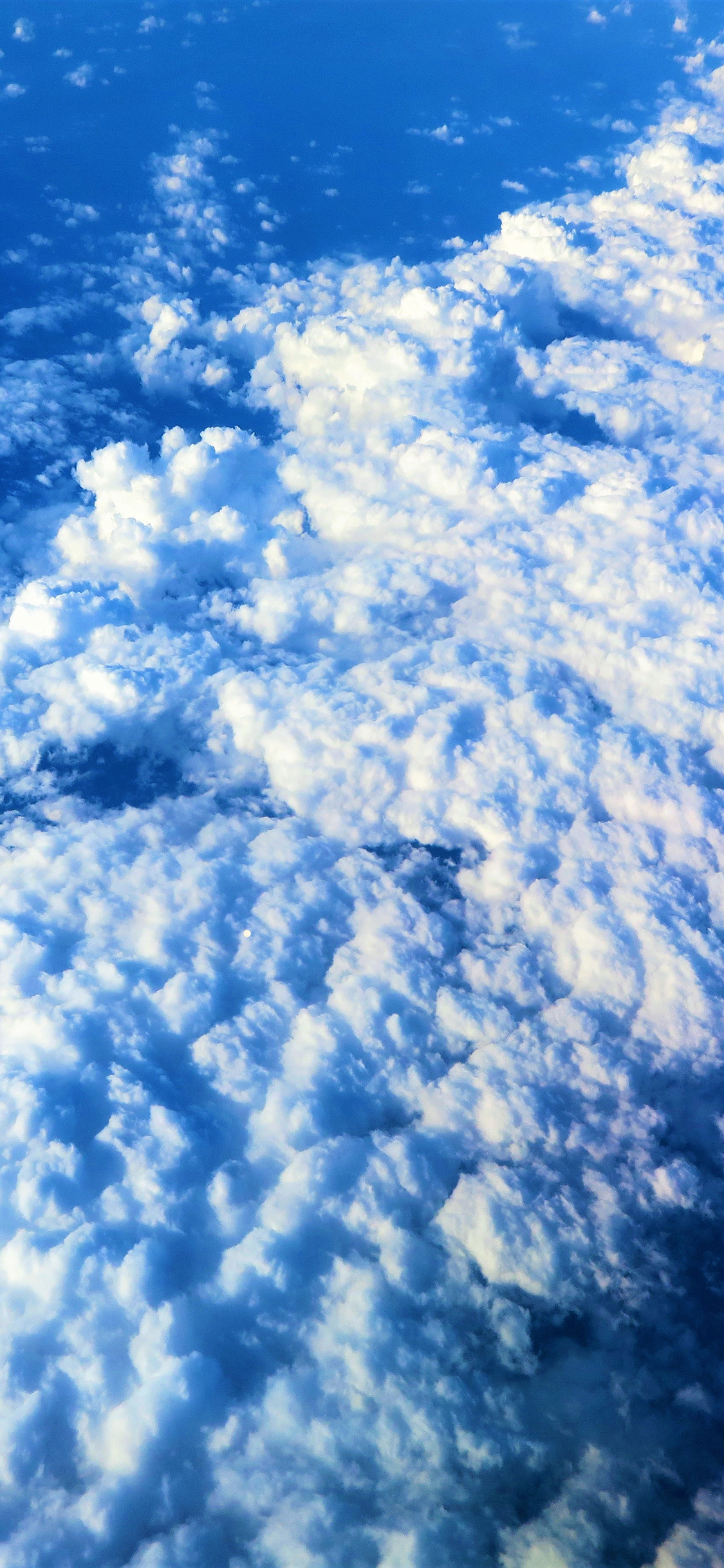 [2436×1125]天空 蓝白 云朵 云端 苹果手机壁纸图片