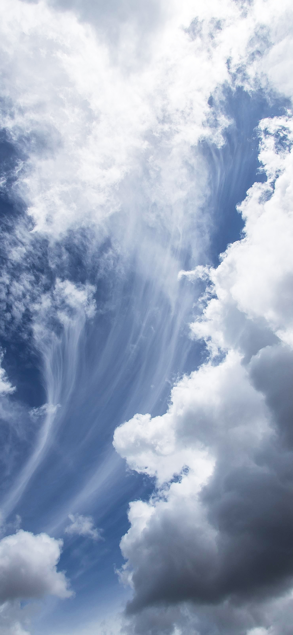 [2436×1125]天空 蓝白 云朵 白云 苹果手机壁纸图片