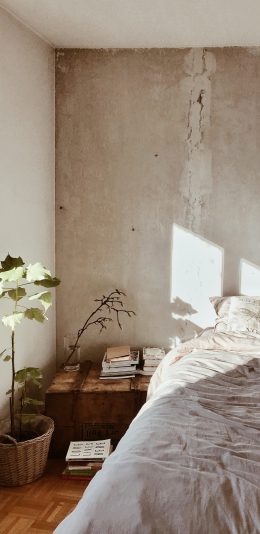 [2436x1125]家居 房间 阳光 盆栽 苹果手机壁纸图片