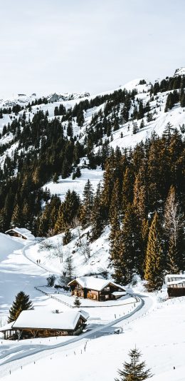 [2436x1125]寒冬 雪景 白雪覆盖 树木 木屋 苹果手机壁纸图片