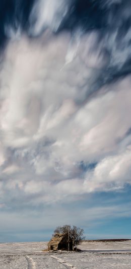 [2436x1125]小木屋 树木 蓝天白云 自然美景 苹果手机壁纸图片