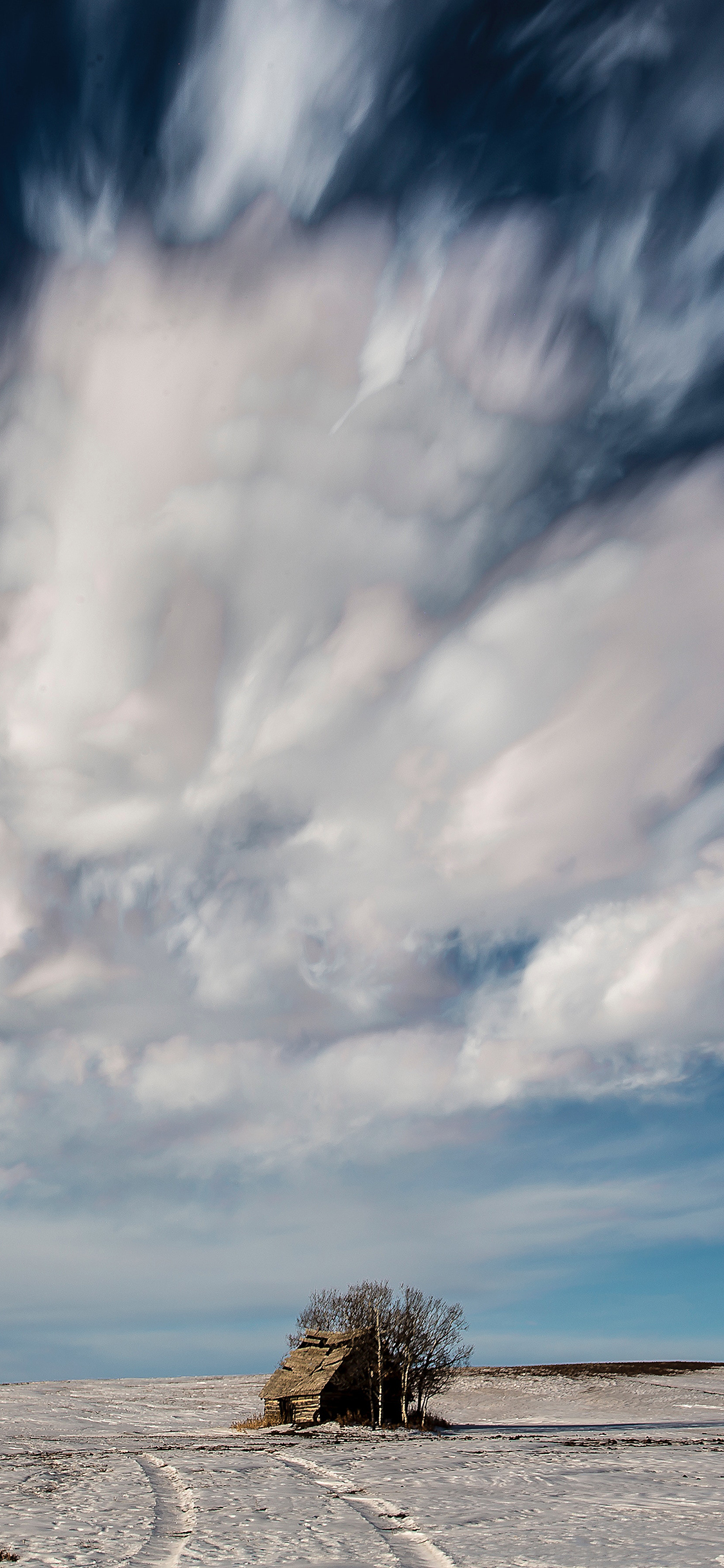 [2436×1125]小木屋 树木 蓝天白云 自然美景 苹果手机壁纸图片