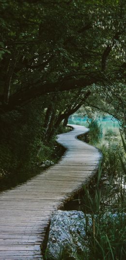 [2436x1125]小道 林间 树林 树荫 苹果手机壁纸图片