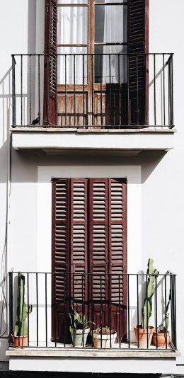[2436x1125]小阳台 盆栽 仙人掌 龙舌兰 苹果手机壁纸图片