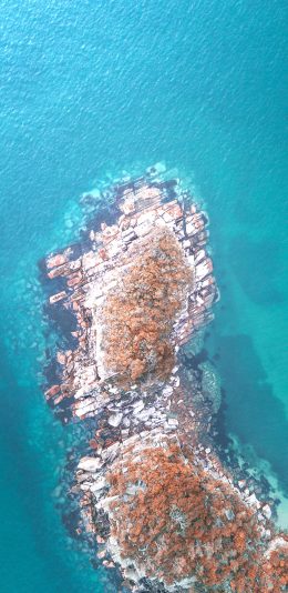 [2436x1125]就是 蔚蓝 海湾 海岸 俯拍 苹果手机壁纸图片