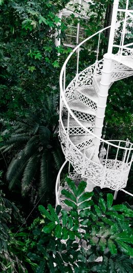 [2436x1125]就是 阶梯 白色 绿植 密集 温室 花室 苹果手机壁纸图片