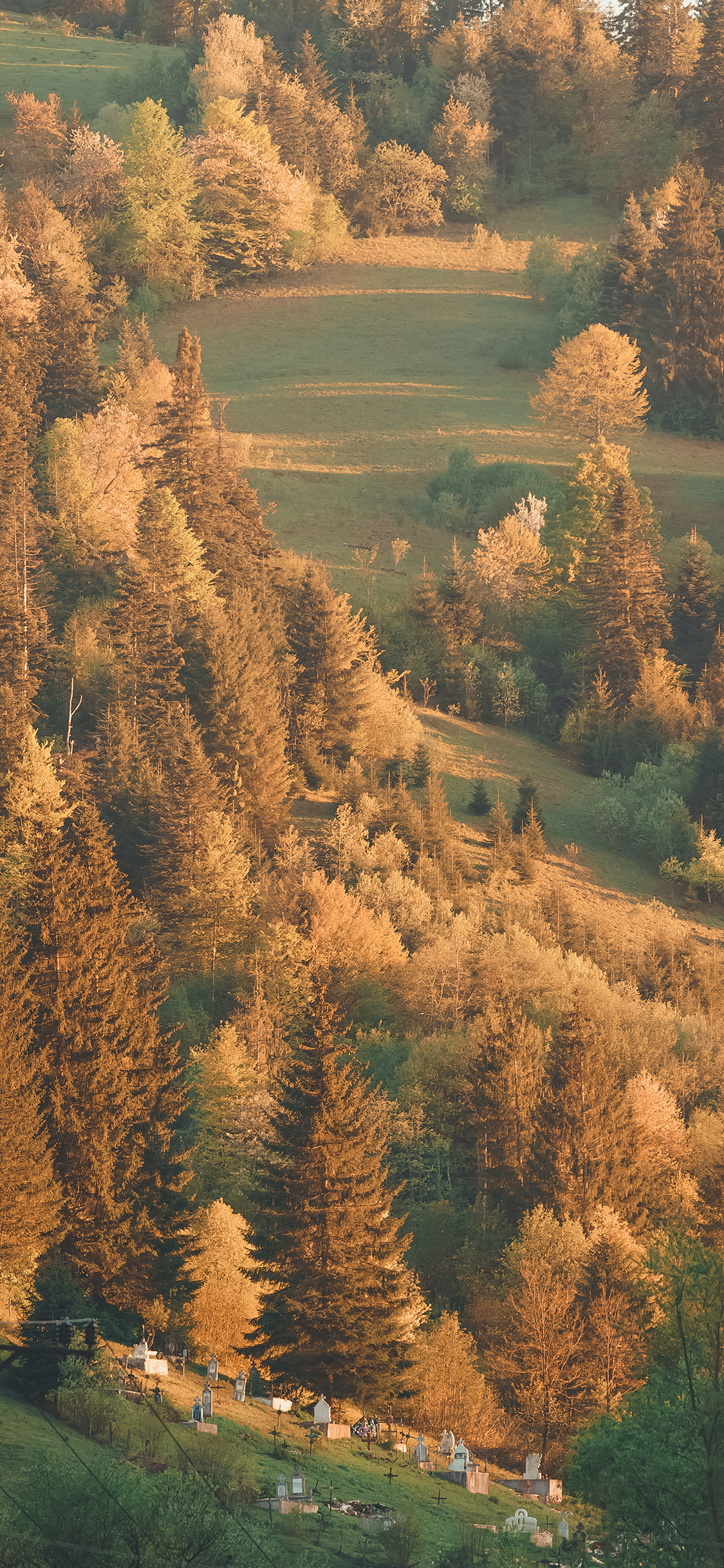 [2436×1125]就是 黄昏 山林 荒漠 种植 固沙 苹果手机壁纸图片