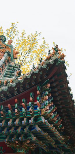 [2436x1125]屋檐 建筑 国风 色彩 苹果手机壁纸图片