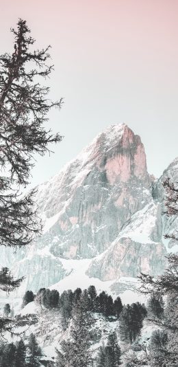 [2436x1125]山 树林 高山 渐变 雪顶 苹果手机壁纸图片