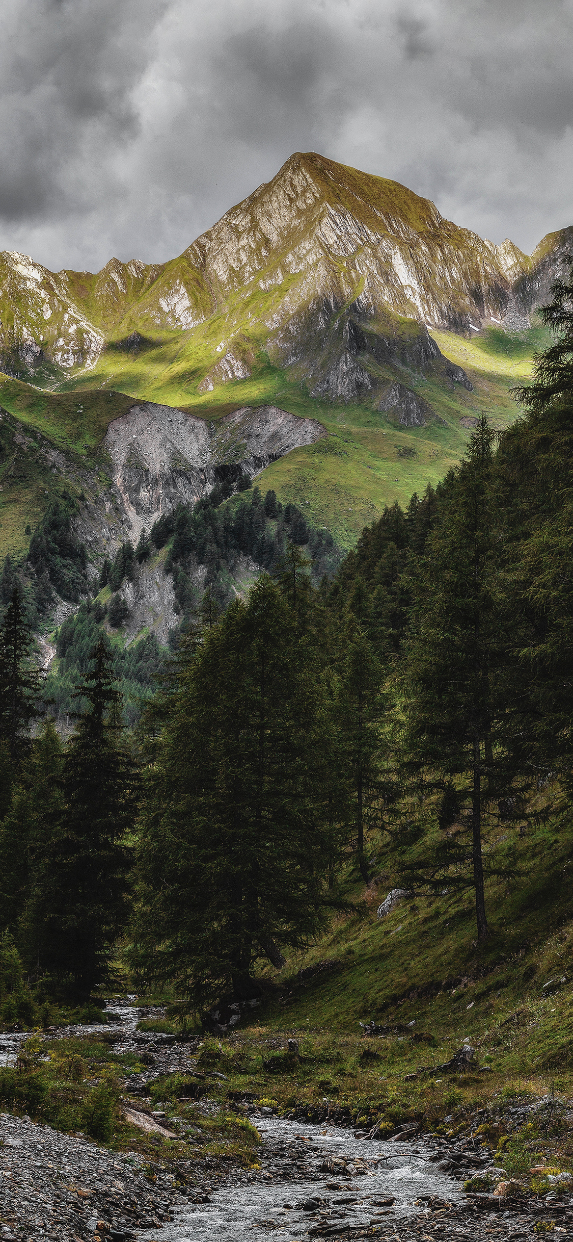 [2436×1125]山 高山 绿植 植被 苹果手机壁纸图片