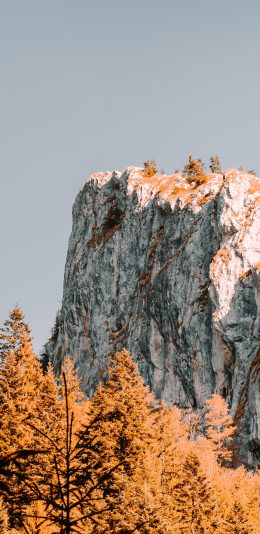 [2436x1125]山峰 树木 叶子 黄色 苹果手机壁纸图片