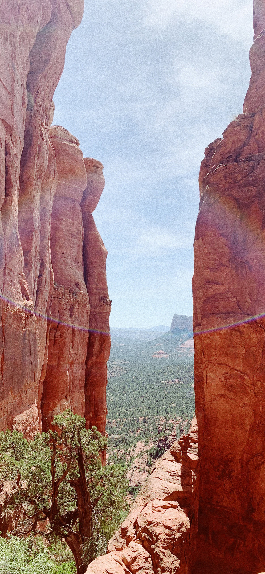 [2436×1125]山峰 自然 彩虹光 树木 苹果手机壁纸图片