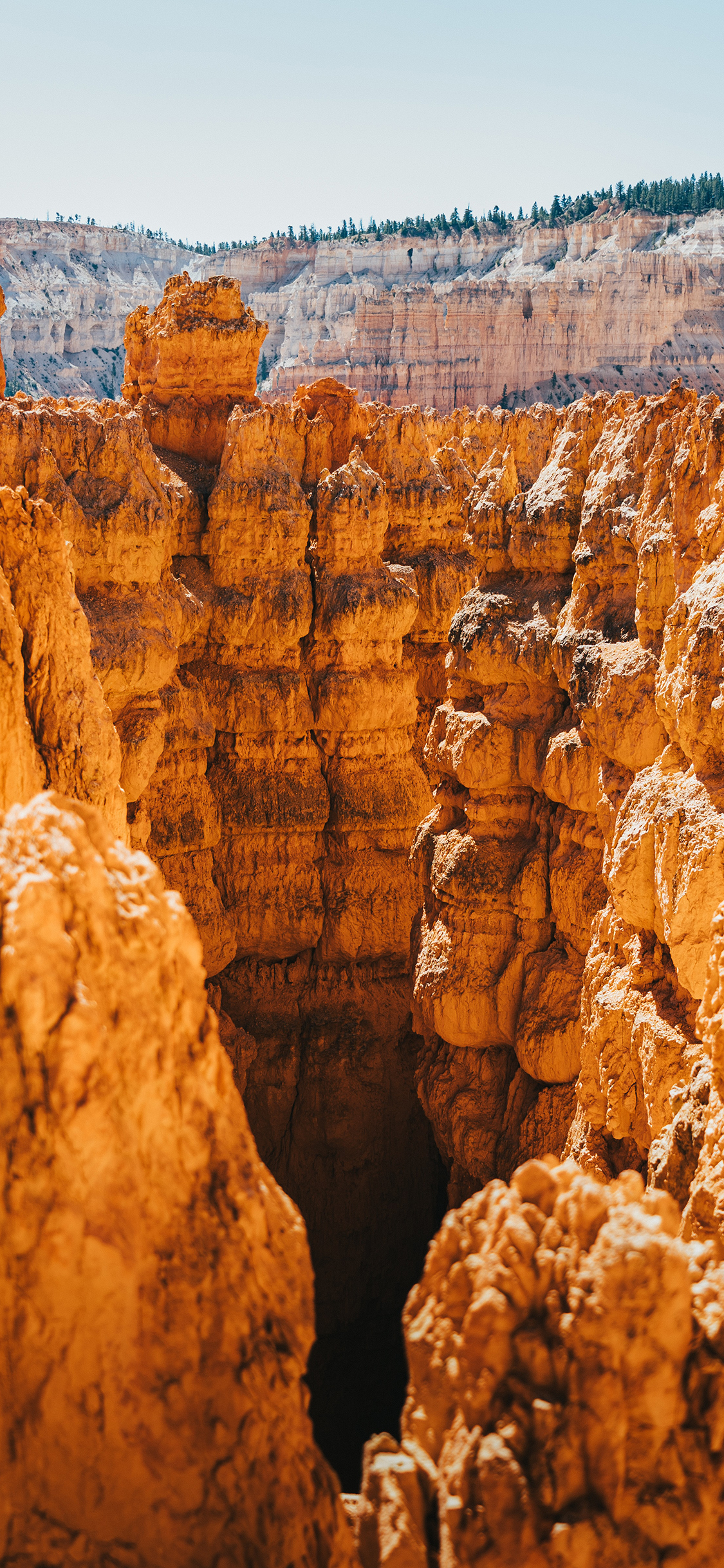[2436×1125]山峰 自然 群山 壮观 苹果手机壁纸图片