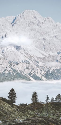 [2436x1125]山峰 雪山 绿植 树木 苹果手机壁纸图片