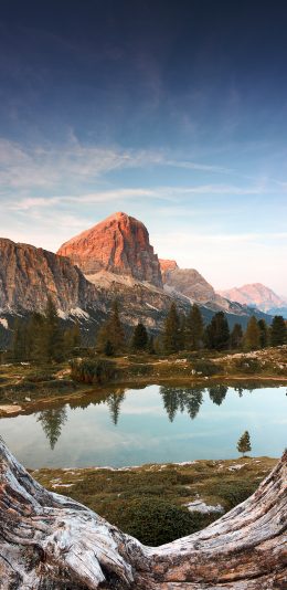 [2436x1125]山水 倒映 地貌 树干 苹果手机壁纸图片