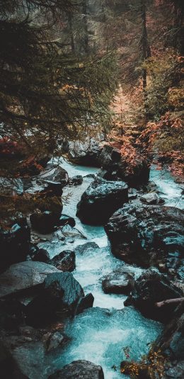 [2436x1125]山水 树林 自然 景观 苹果手机壁纸图片