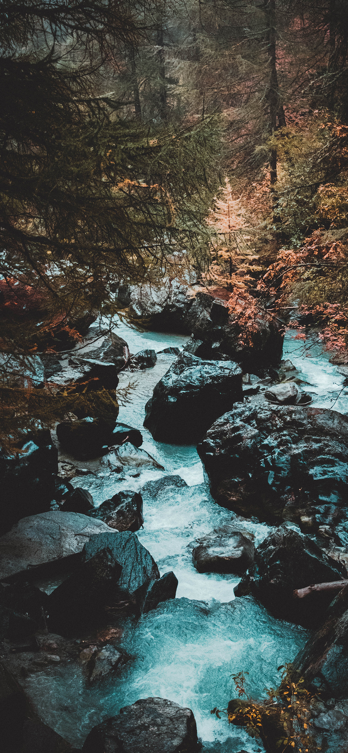 [2436×1125]山水 树林 自然 景观 苹果手机壁纸图片