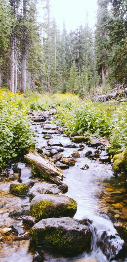 [2436x1125]山水 流水 石块 野外 景色 苹果手机壁纸图片