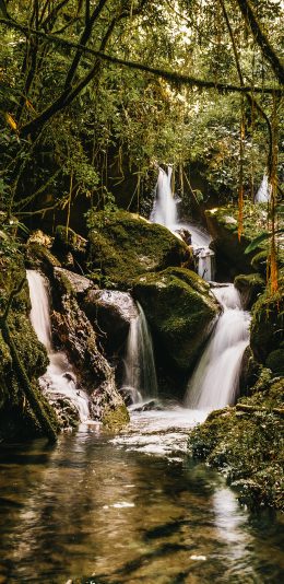 [2436x1125]山水 流水 野外 树林 苹果手机壁纸图片