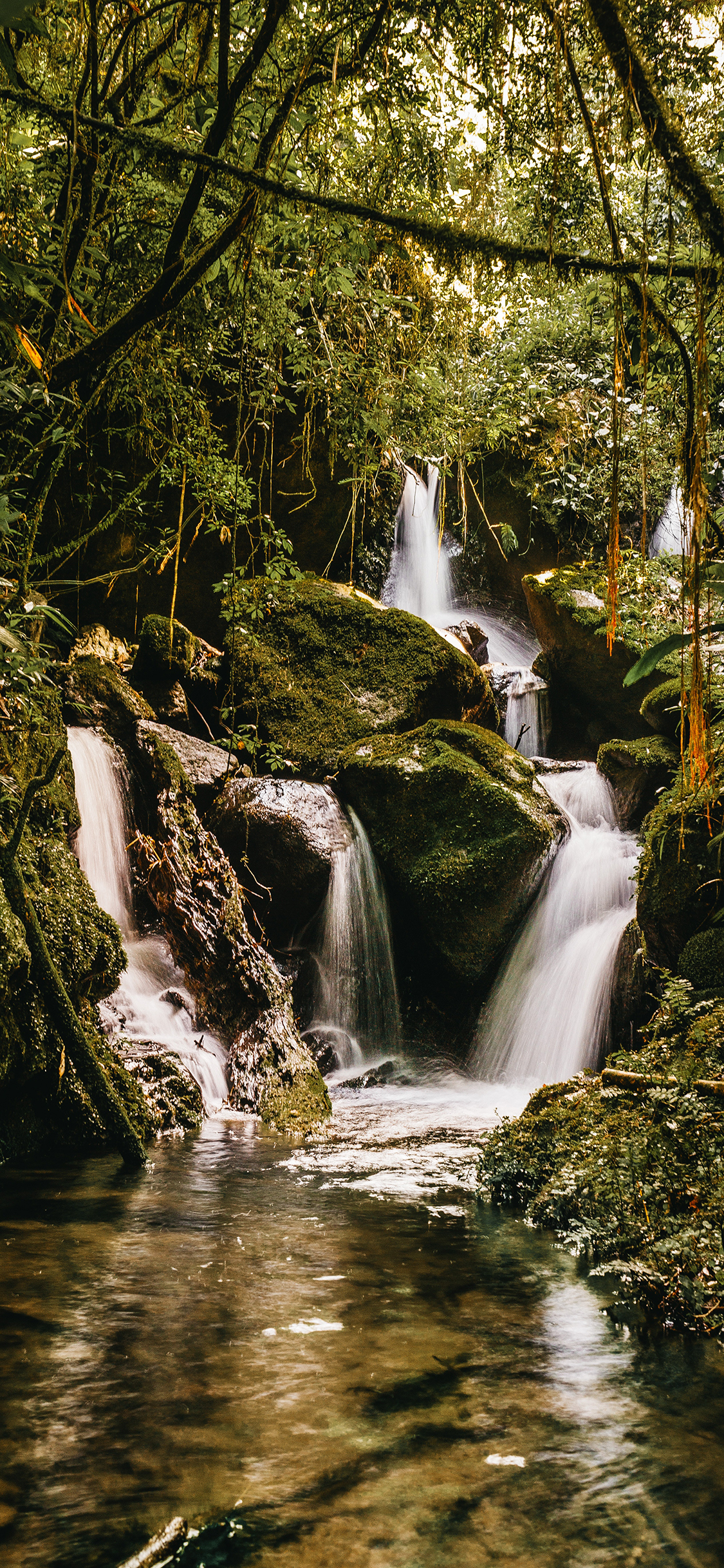 [2436×1125]山水 流水 野外 树林 苹果手机壁纸图片