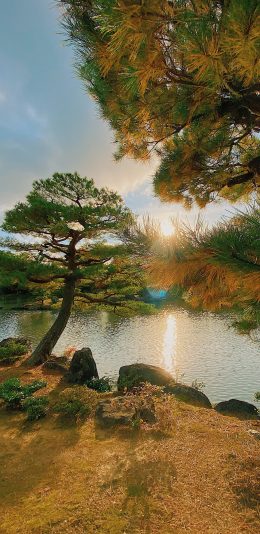 [2436x1125]山水 湖水 太阳 树木 苹果手机壁纸图片
