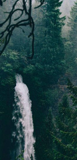 [2436x1125]山水 瀑布 绿化 森林 苹果手机壁纸图片