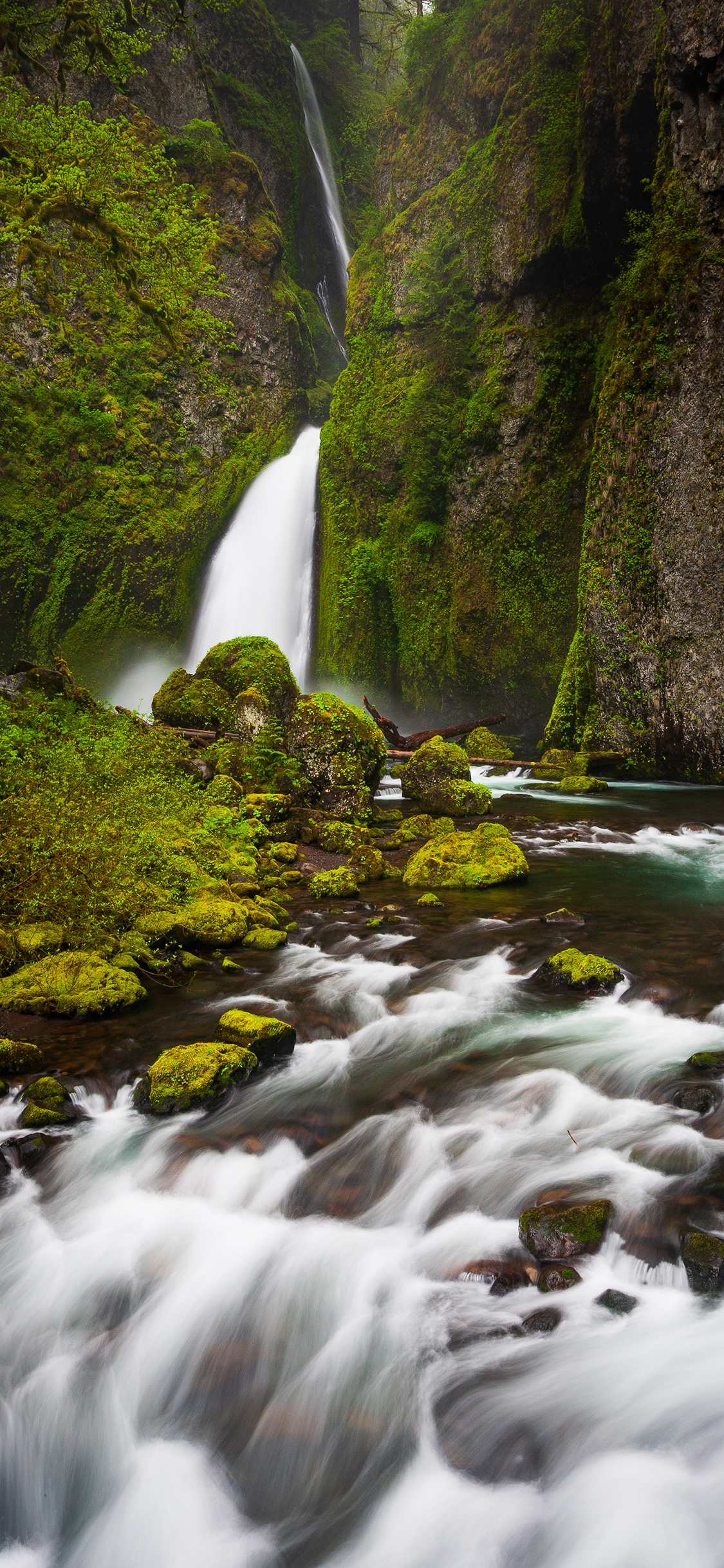 [2436×1125]山水 瀑布 苔藓  流水 苹果手机壁纸图片