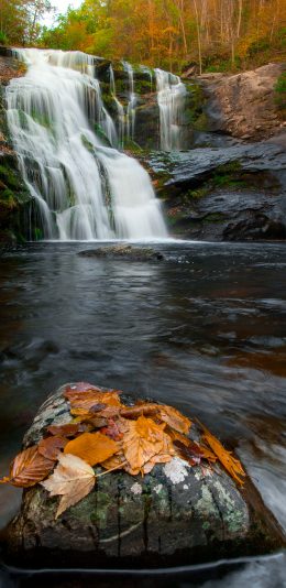 [2436x1125]山水 自然 石头 枫叶 秋意 苹果手机壁纸图片