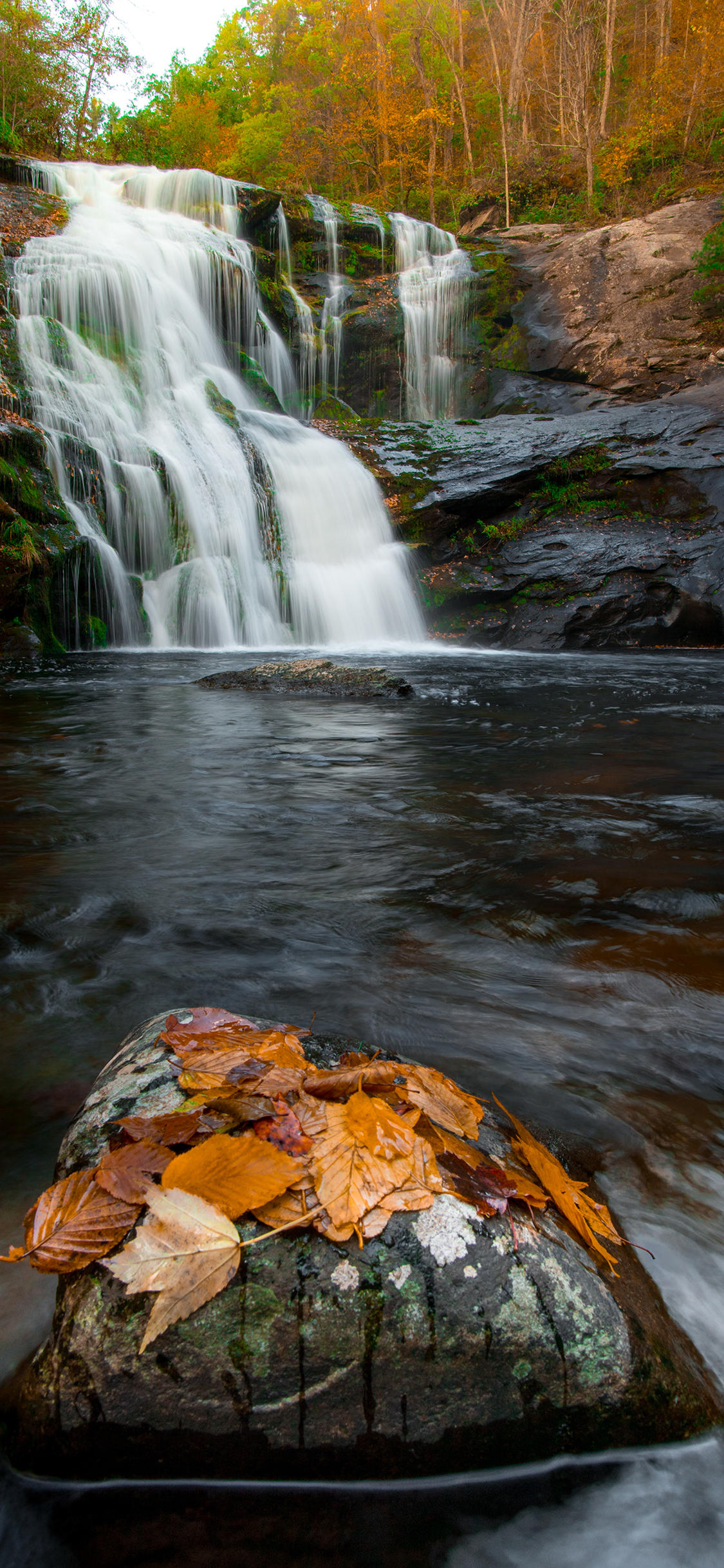 [2436×1125]山水 自然 石头 枫叶 秋意 苹果手机壁纸图片