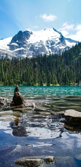 [2436x1125]山水 雪山 树林 天空