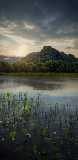 [2436x1125]山水 高山 湖水 日出 芦苇 苹果手机壁纸图片