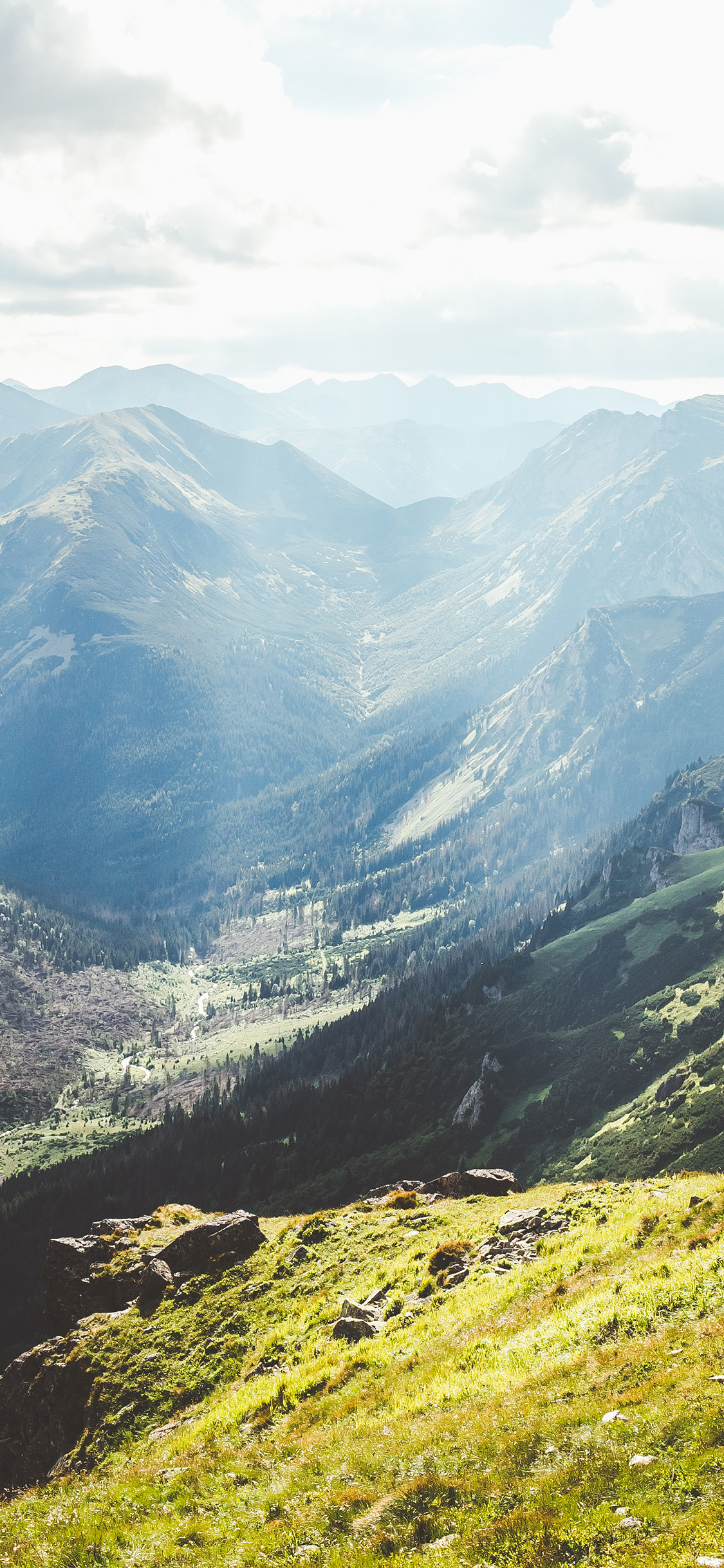 [2436×1125]山谷 高山 绿植 植被 苹果手机壁纸图片