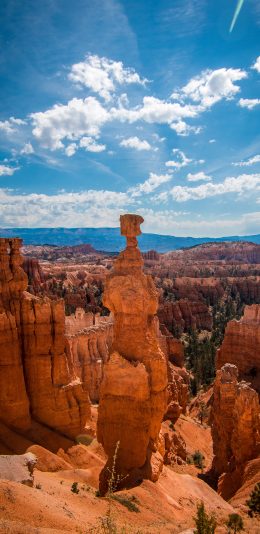 [2436x1125]峡谷 石林 石头 天空 苹果手机壁纸图片