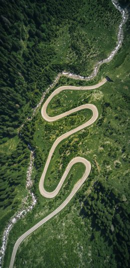 [2436x1125]平原 绿色 草原 道路 树木 森林 苹果手机壁纸图片