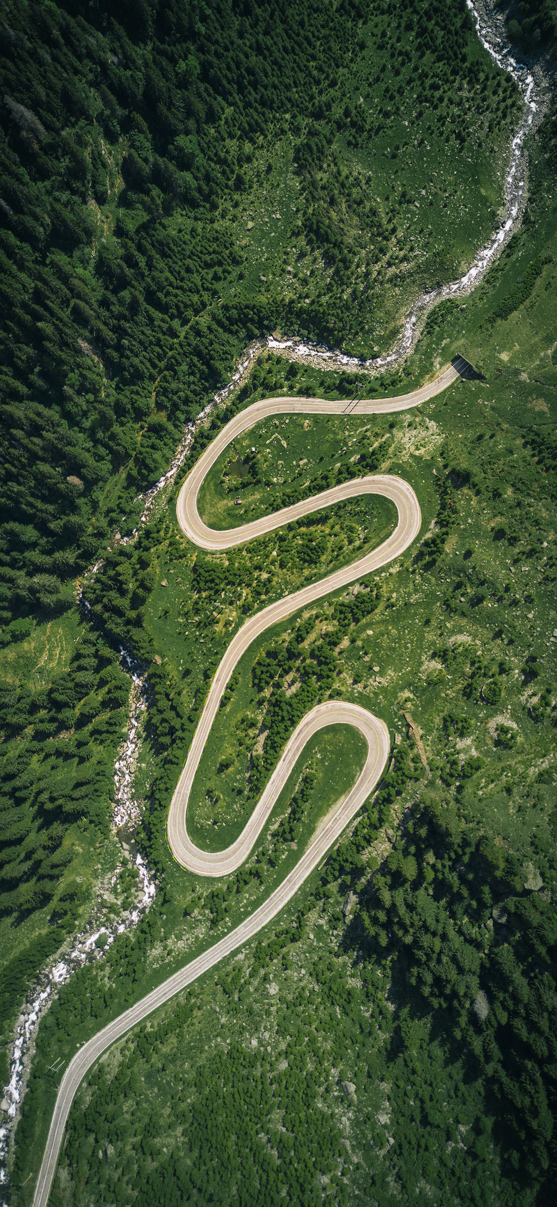 [2436×1125]平原 绿色 草原 道路 树木 森林 苹果手机壁纸图片