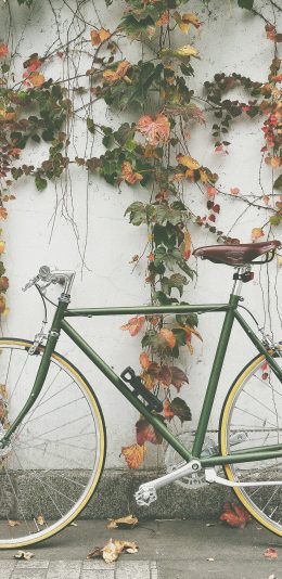 [2436x1125]庭院 单车 自行车 绿植 藤蔓 苹果手机壁纸图片