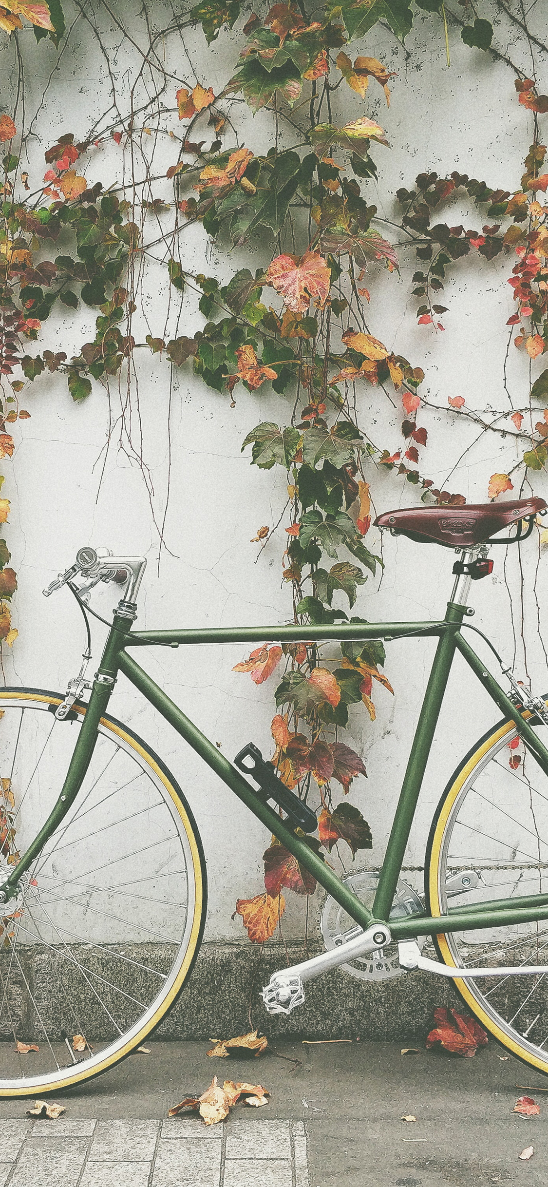 [2436×1125]庭院 单车 自行车 绿植 藤蔓 苹果手机壁纸图片