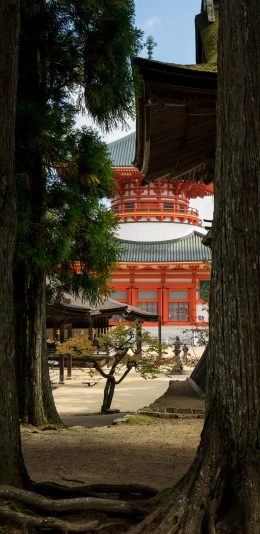 [2436x1125]庭院 树木 建筑 寺庙 苹果手机壁纸图片