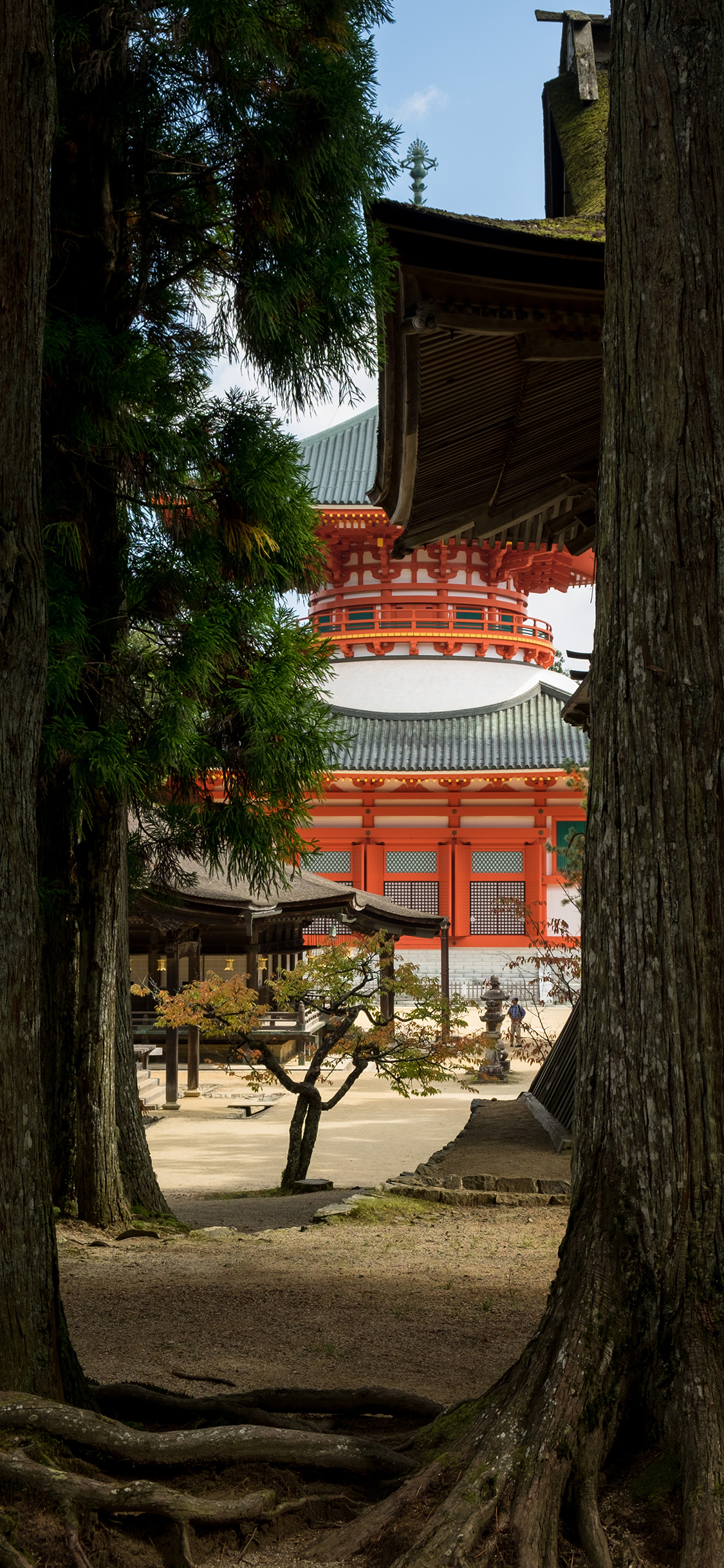 [2436×1125]庭院 树木 建筑 寺庙 苹果手机壁纸图片
