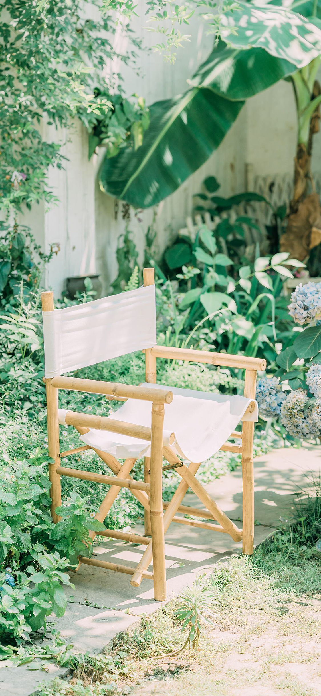 [2436×1125]庭院 椅子 夏日 绿植 苹果手机壁纸图片