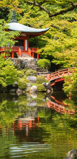 [2436x1125]庭院 池塘 桥 树林 景观 苹果手机壁纸图片