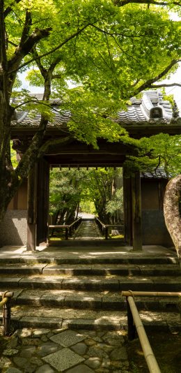 [2436x1125]庭院 门廊 树木 林荫道 苹果手机壁纸图片