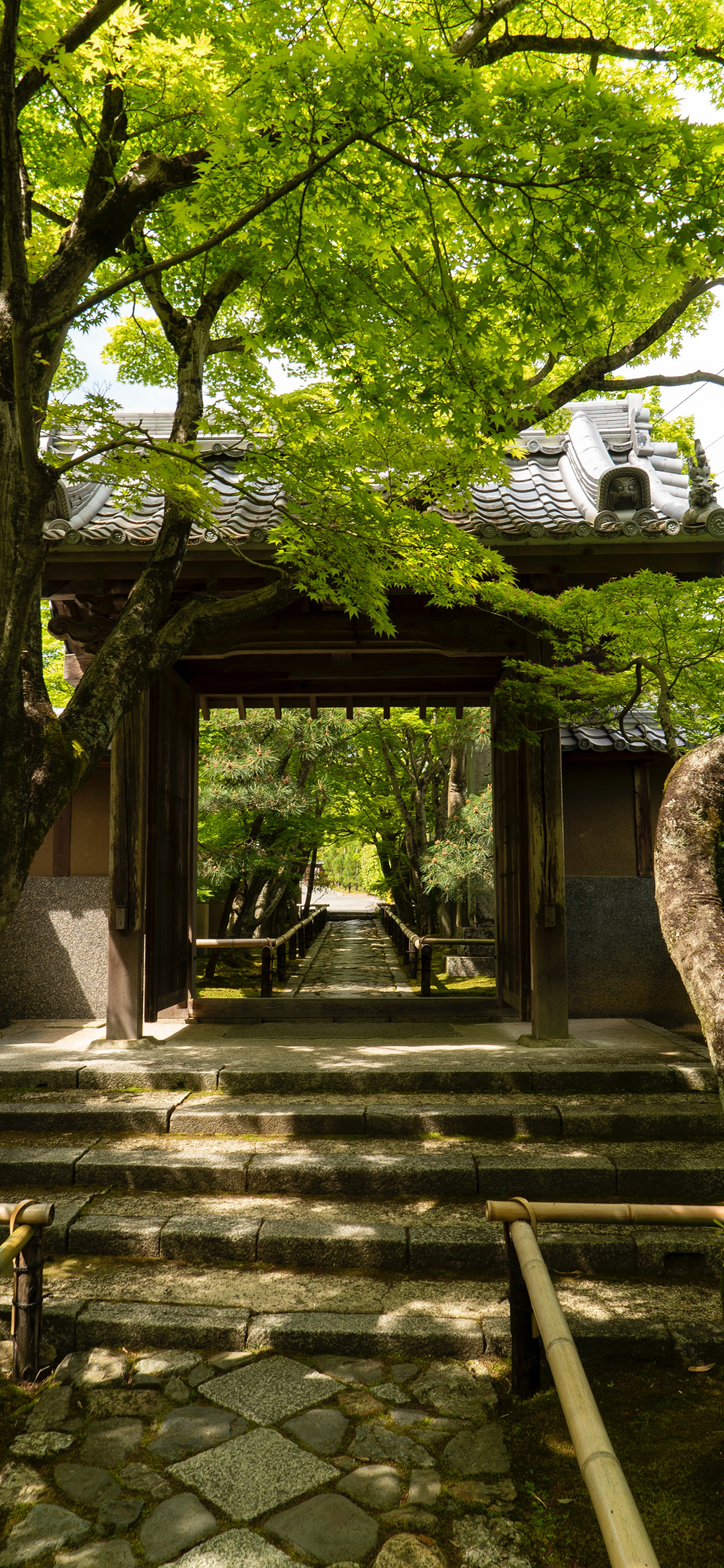 [2436×1125]庭院 门廊 树木 林荫道 苹果手机壁纸图片